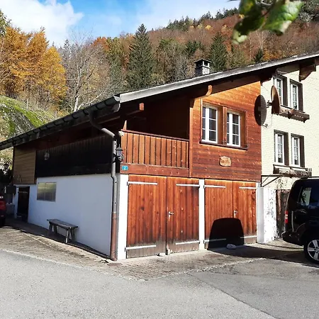 Apartment Gemuetliches Innertkirchen