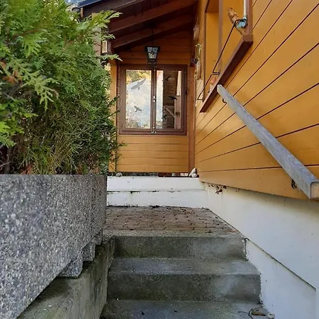 Gemütliches Apartment Innertkirchen