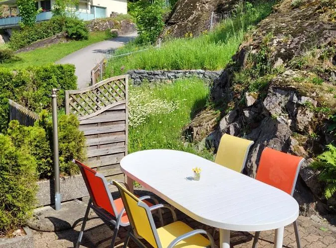 Apartament Gemuetliches Innertkirchen